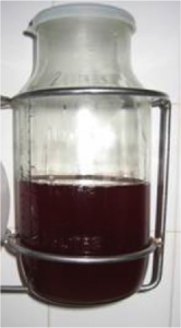 hématurie moyen
