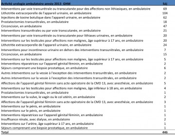 Activ Ambu 2013
