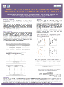 PCA3 and T2ERG