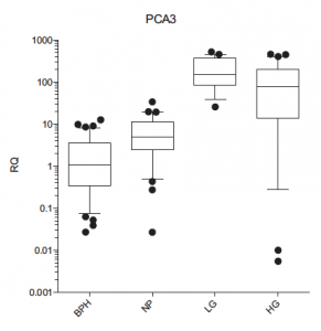 PCA3-prostate