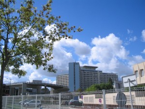 hopital_pellegrin