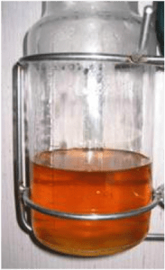 urine normale