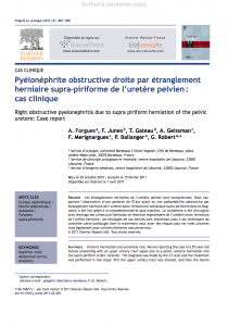 pyelonephrite-hernie-urologie