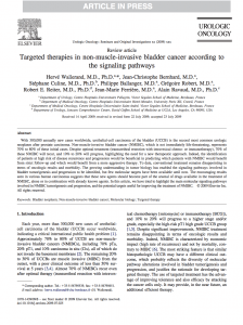 targeted-therapies-nmibc
