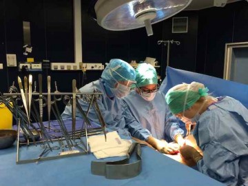 transplantation-renale