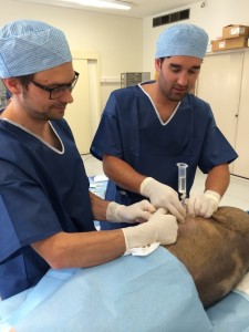 coeliochirurgie_formation_internes