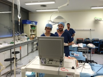 coeliochirurgie_formation_internes_robotique