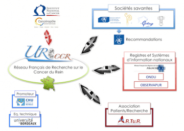 UroCCR_cancer_rein_reseau_recherche