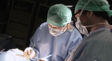 transplantation_donneur_vivant