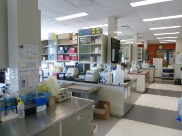 laboratoire_montreal_bordeaux_urologie_recherche_prostate